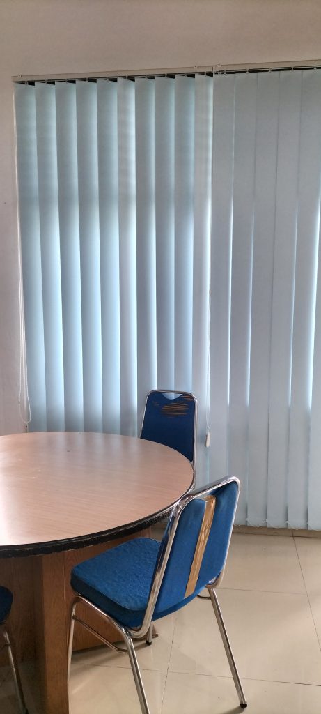 vertical blind medan